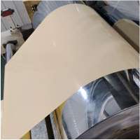 High Impact Polystyrene Textured Sheets /HIPS Sheet for Forming