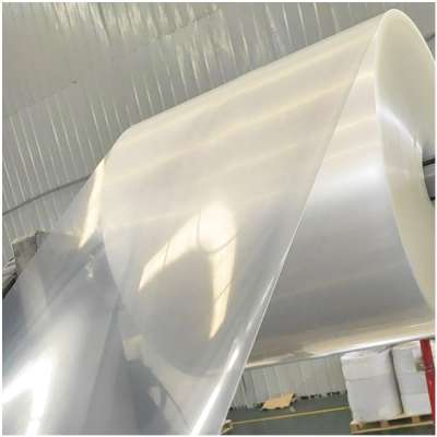 Thickness 0.3mm PP Polypropylene Sheet for Thermoforming Tray