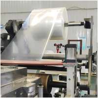 Transparent 100% Virgin Material Rigid PP Sheet for Thermoforming